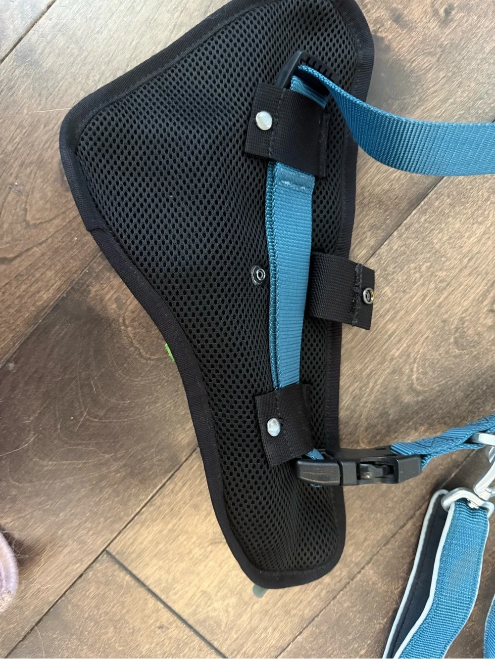 Arcadia Blue Sling Crossbody Bag and Leash